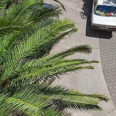 شقة Studio سبليت